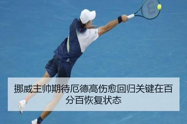 挪威主帅期待厄德高伤愈回归关键在百分百恢复状态